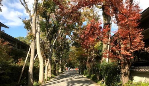 下のソーシャルリンクからフォロー