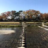 1週間前の賀茂川と御所の紅葉
