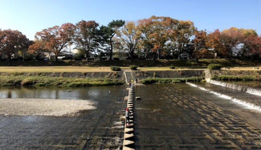 1週間前の賀茂川と御所の紅葉