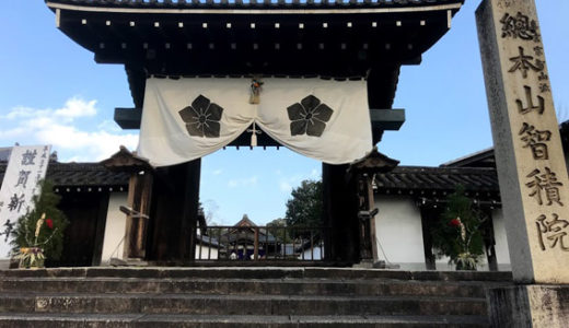 三十三間堂と国際興業管理 (株)と智積院[宿坊]
