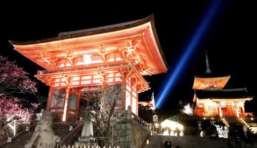 京都東山花灯路2019が始まりました!!