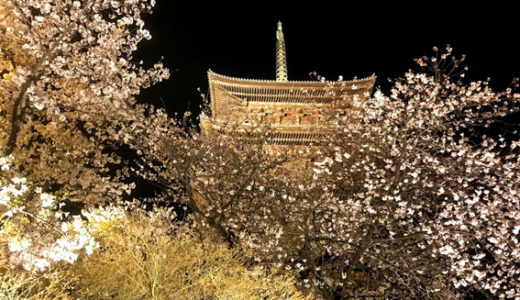 下のソーシャルリンクからフォロー