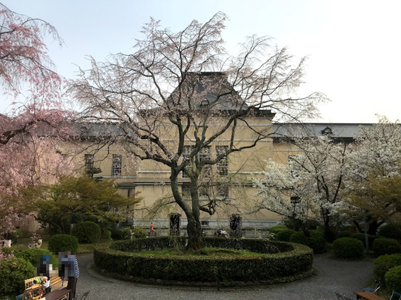 京都 府庁
