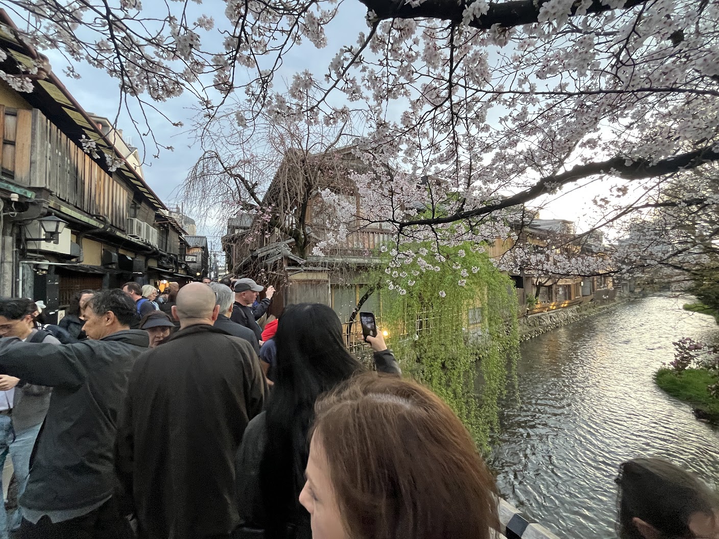 狂乱の「祇園白川」と静謐の「新門前通」にハイアット初のラグジュアリー温泉旅館ブランドが進出